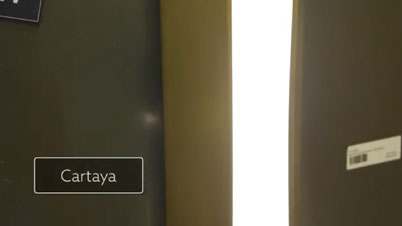 Cartaya