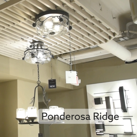 Ponderosa Ridge - 4 Light Outdoor Chandelier