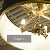 Caprio - 4 Light Pendant